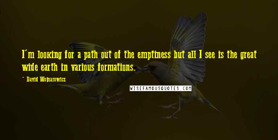 David Wojnarowicz Quotes: I'm looking for a path out of the emptiness but all I see is the great wide earth in various formations.