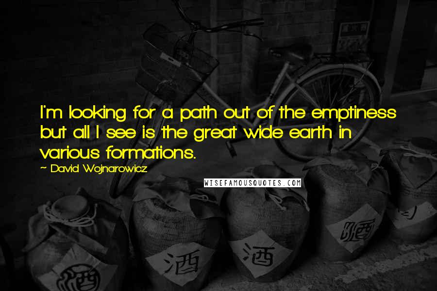 David Wojnarowicz Quotes: I'm looking for a path out of the emptiness but all I see is the great wide earth in various formations.