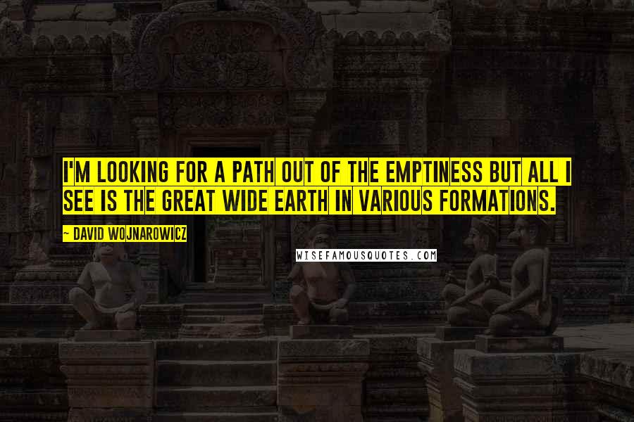 David Wojnarowicz Quotes: I'm looking for a path out of the emptiness but all I see is the great wide earth in various formations.