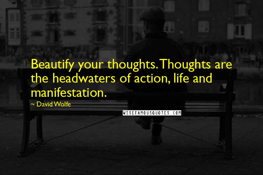 David Wolfe Quotes: Beautify your thoughts. Thoughts are the headwaters of action, life and manifestation.