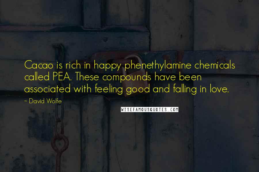 David Wolfe Quotes: Cacao is rich in happy phenethylamine chemicals called PEA. These compounds have been associated with feeling good and falling in love.