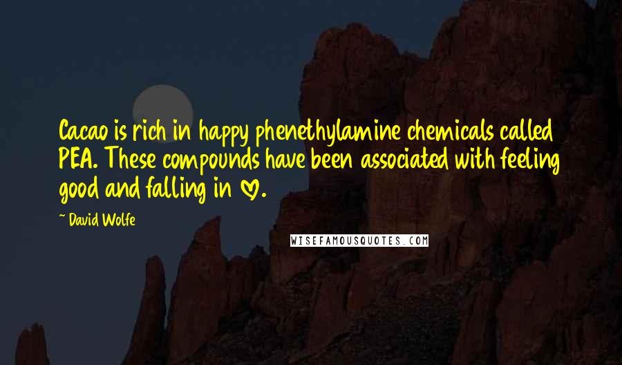 David Wolfe Quotes: Cacao is rich in happy phenethylamine chemicals called PEA. These compounds have been associated with feeling good and falling in love.