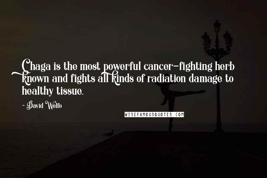 David Wolfe Quotes: Chaga is the most powerful cancer-fighting herb known and fights all kinds of radiation damage to healthy tissue.