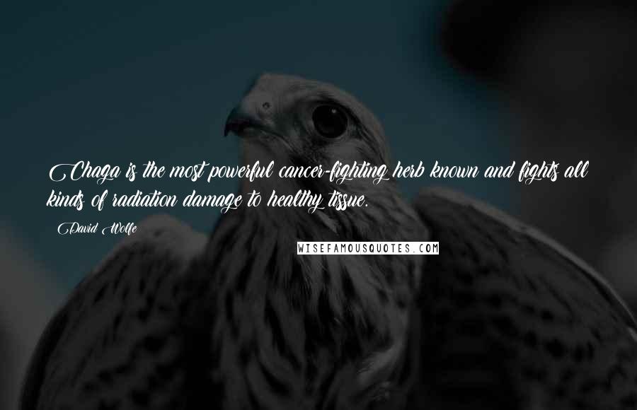 David Wolfe Quotes: Chaga is the most powerful cancer-fighting herb known and fights all kinds of radiation damage to healthy tissue.