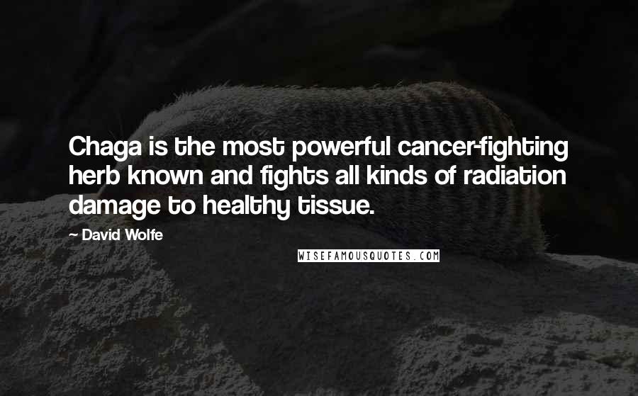 David Wolfe Quotes: Chaga is the most powerful cancer-fighting herb known and fights all kinds of radiation damage to healthy tissue.