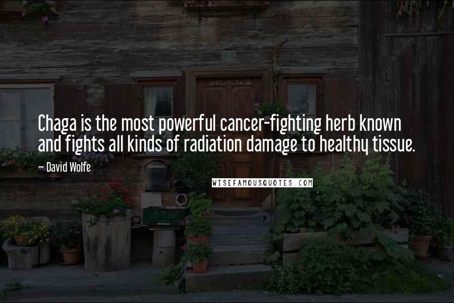 David Wolfe Quotes: Chaga is the most powerful cancer-fighting herb known and fights all kinds of radiation damage to healthy tissue.