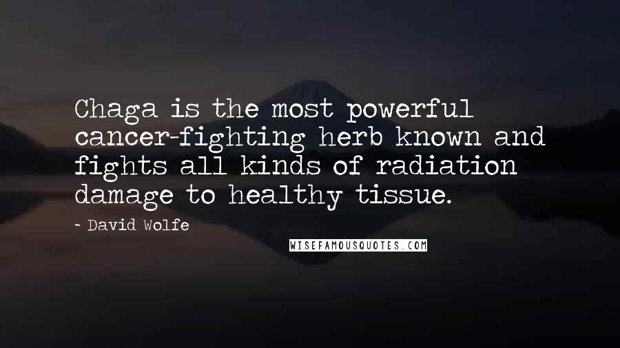 David Wolfe Quotes: Chaga is the most powerful cancer-fighting herb known and fights all kinds of radiation damage to healthy tissue.