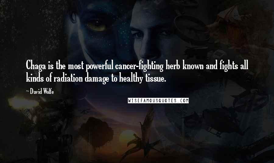 David Wolfe Quotes: Chaga is the most powerful cancer-fighting herb known and fights all kinds of radiation damage to healthy tissue.