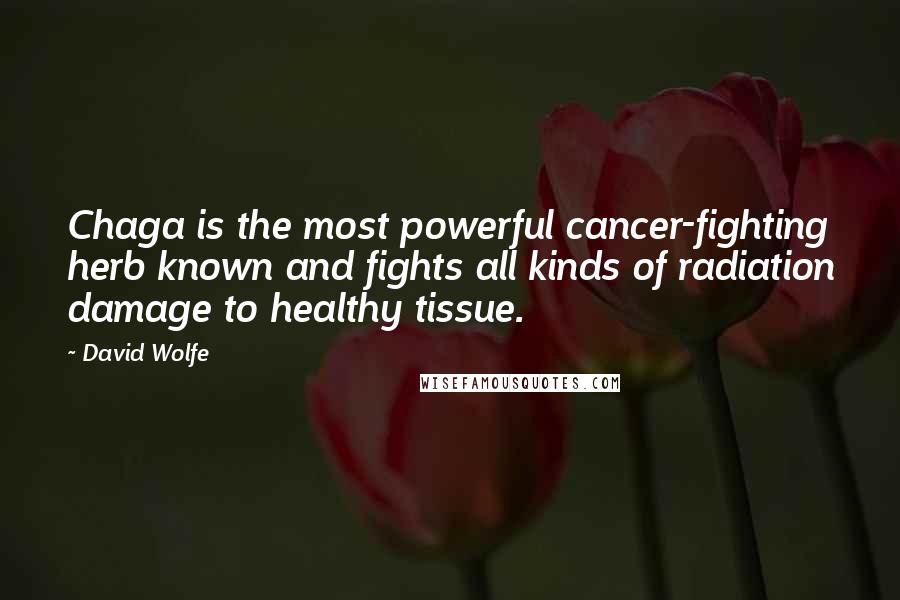 David Wolfe Quotes: Chaga is the most powerful cancer-fighting herb known and fights all kinds of radiation damage to healthy tissue.