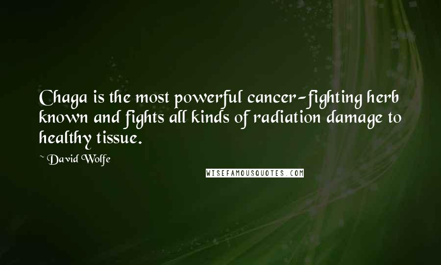 David Wolfe Quotes: Chaga is the most powerful cancer-fighting herb known and fights all kinds of radiation damage to healthy tissue.