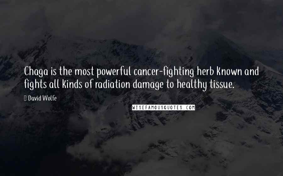 David Wolfe Quotes: Chaga is the most powerful cancer-fighting herb known and fights all kinds of radiation damage to healthy tissue.