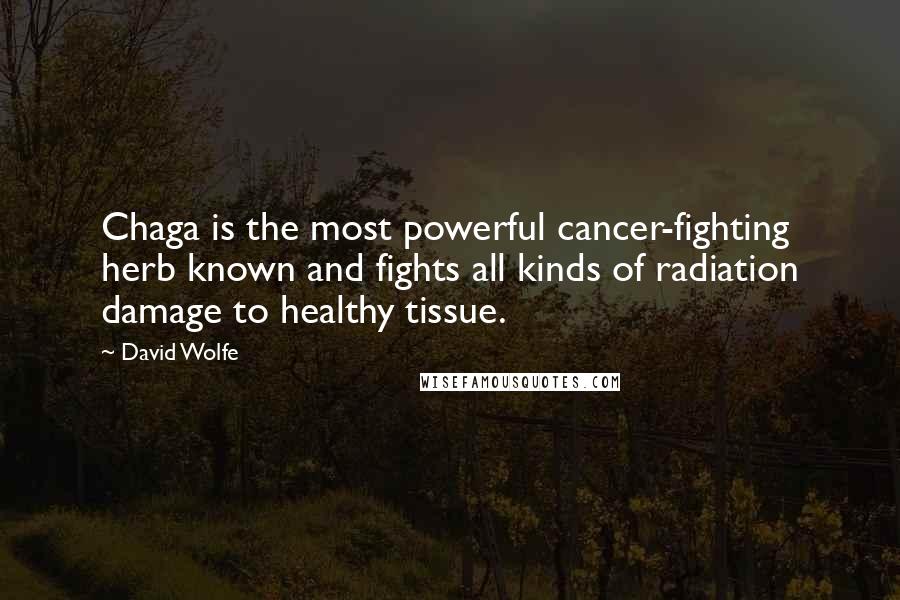 David Wolfe Quotes: Chaga is the most powerful cancer-fighting herb known and fights all kinds of radiation damage to healthy tissue.