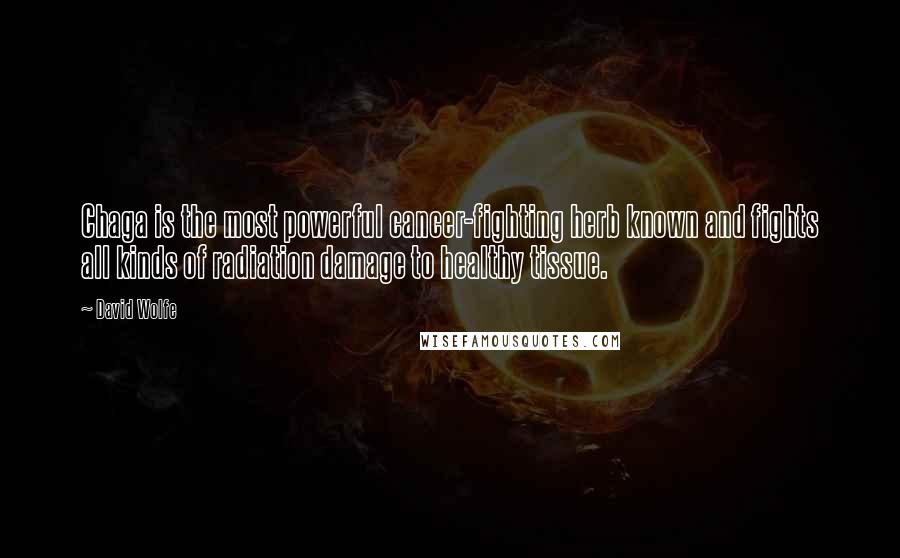 David Wolfe Quotes: Chaga is the most powerful cancer-fighting herb known and fights all kinds of radiation damage to healthy tissue.