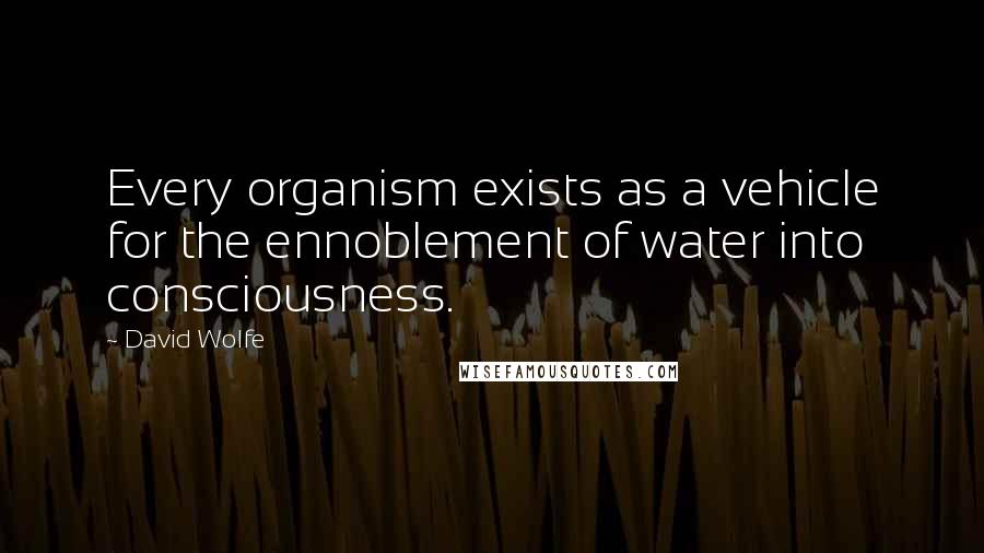 David Wolfe Quotes: Every organism exists as a vehicle for the ennoblement of water into consciousness.