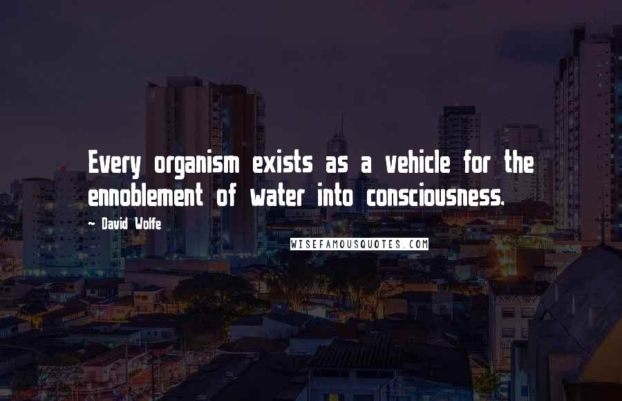 David Wolfe Quotes: Every organism exists as a vehicle for the ennoblement of water into consciousness.