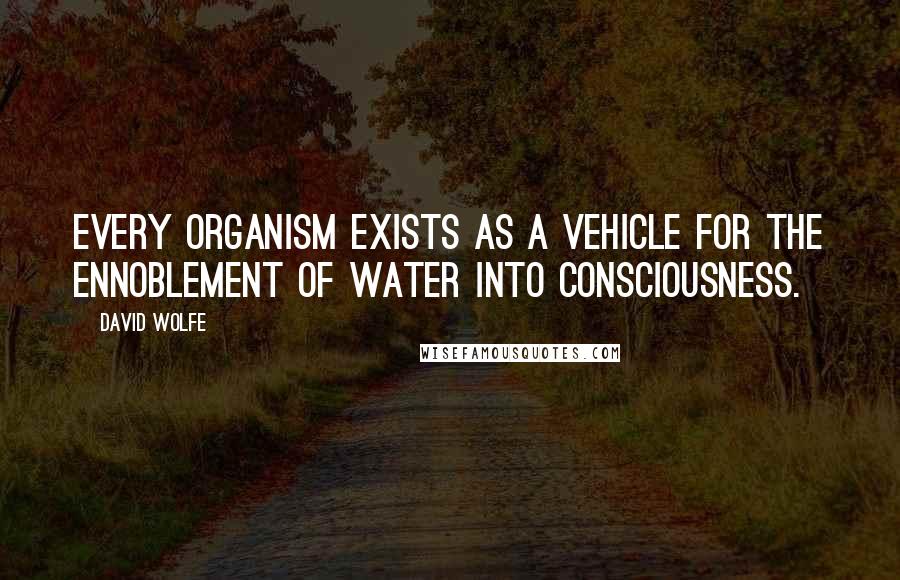 David Wolfe Quotes: Every organism exists as a vehicle for the ennoblement of water into consciousness.