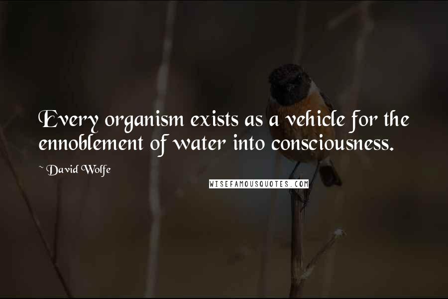 David Wolfe Quotes: Every organism exists as a vehicle for the ennoblement of water into consciousness.