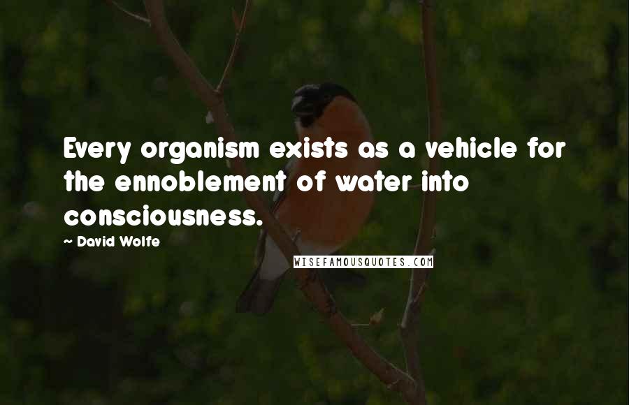 David Wolfe Quotes: Every organism exists as a vehicle for the ennoblement of water into consciousness.