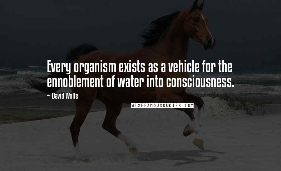 David Wolfe Quotes: Every organism exists as a vehicle for the ennoblement of water into consciousness.