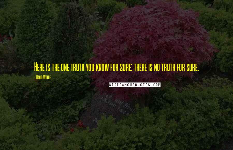 David Wolfe Quotes: Here is the one truth you know for sure: there is no truth for sure.