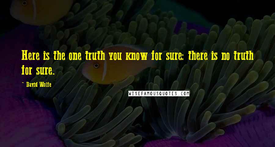 David Wolfe Quotes: Here is the one truth you know for sure: there is no truth for sure.