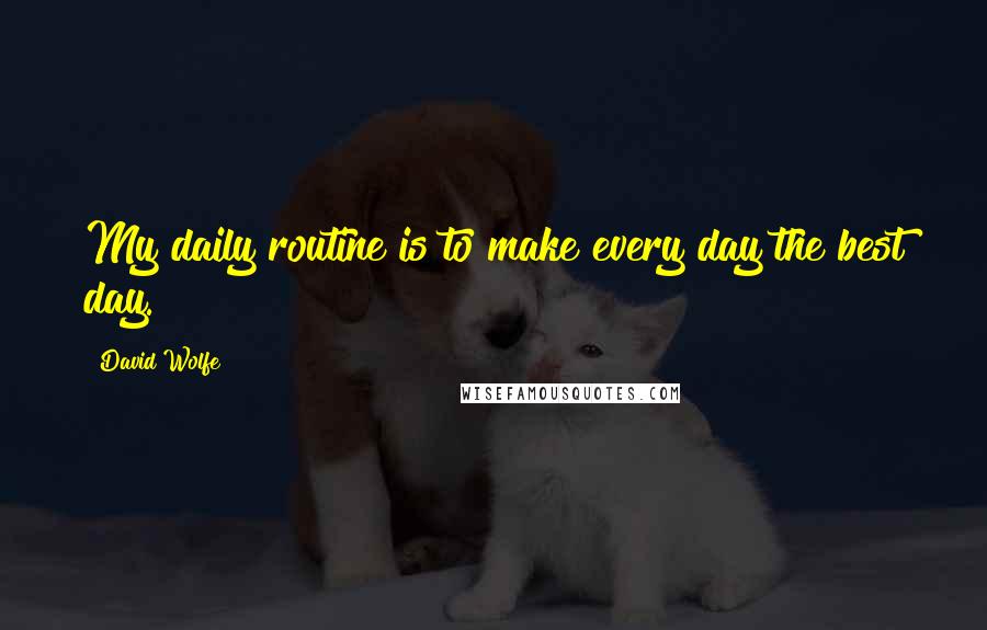 David Wolfe Quotes: My daily routine is to make every day the best day.