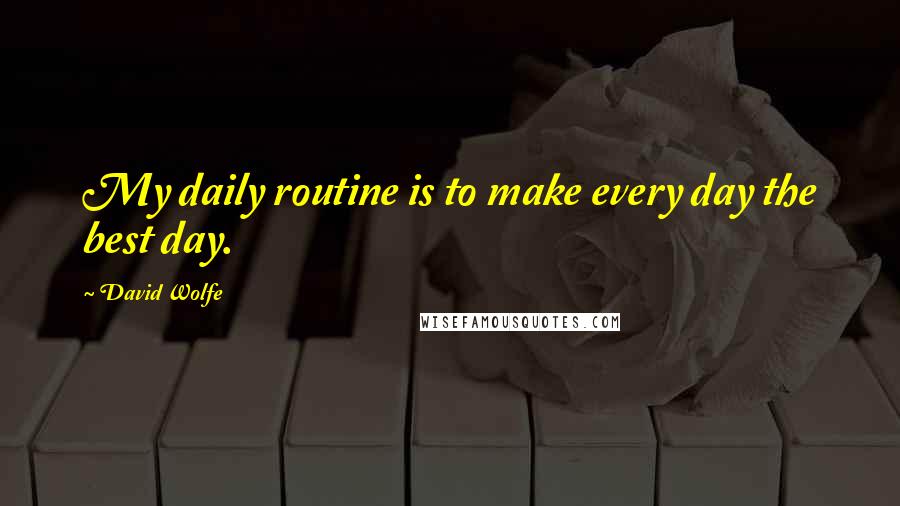 David Wolfe Quotes: My daily routine is to make every day the best day.