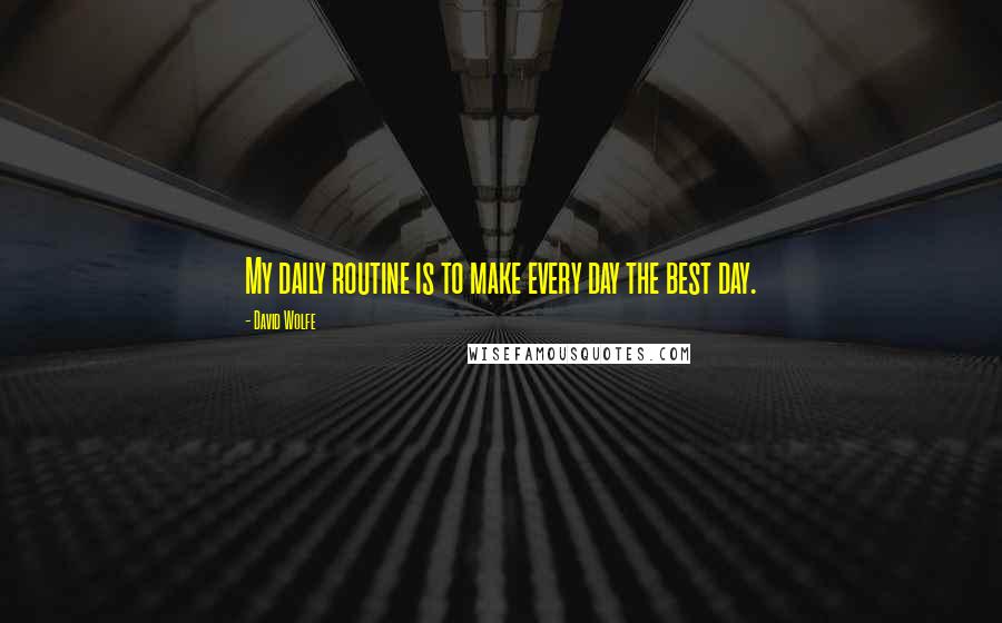 David Wolfe Quotes: My daily routine is to make every day the best day.