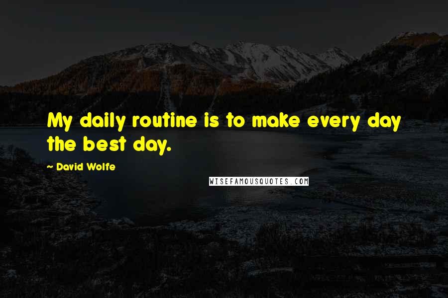 David Wolfe Quotes: My daily routine is to make every day the best day.