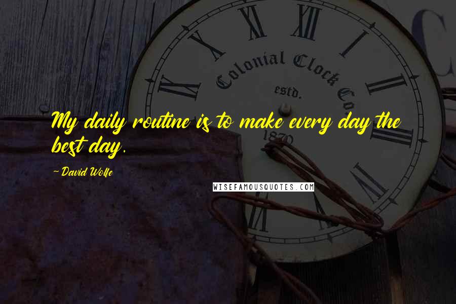 David Wolfe Quotes: My daily routine is to make every day the best day.