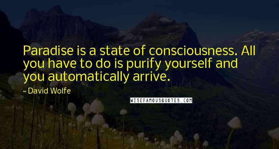 David Wolfe Quotes: Paradise is a state of consciousness. All you have to do is purify yourself and you automatically arrive.