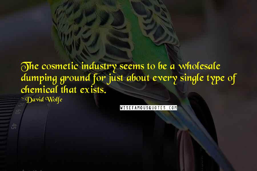 David Wolfe Quotes: The cosmetic industry seems to be a wholesale dumping ground for just about every single type of chemical that exists.