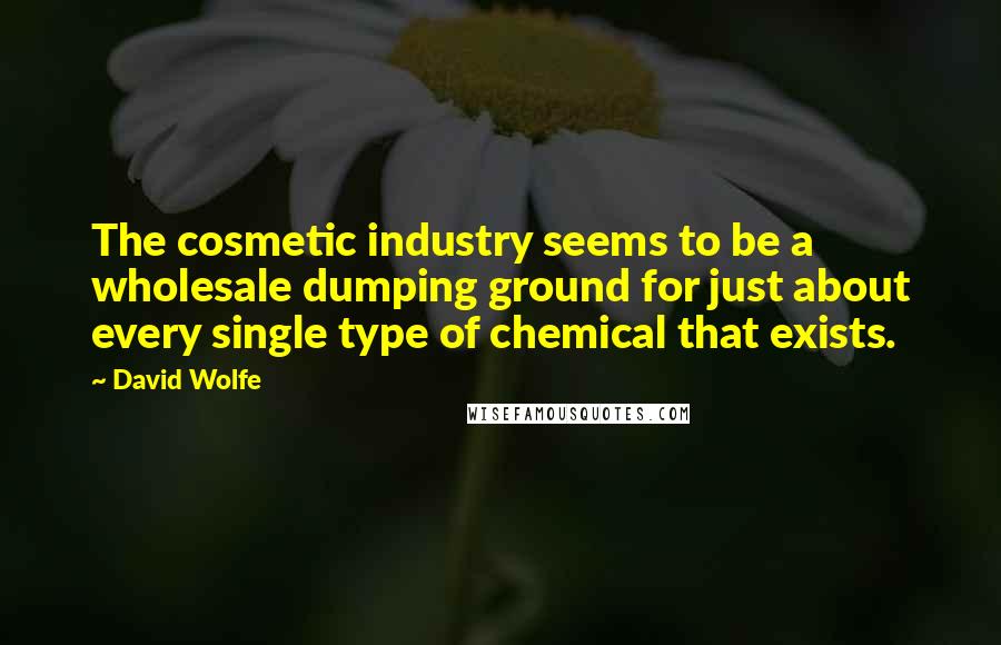 David Wolfe Quotes: The cosmetic industry seems to be a wholesale dumping ground for just about every single type of chemical that exists.