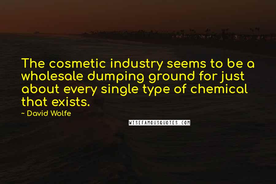 David Wolfe Quotes: The cosmetic industry seems to be a wholesale dumping ground for just about every single type of chemical that exists.