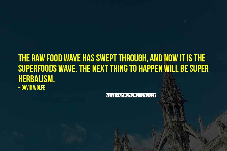 David Wolfe Quotes: The raw food wave has swept through, and now it is the superfoods wave. The next thing to happen will be super herbalism.