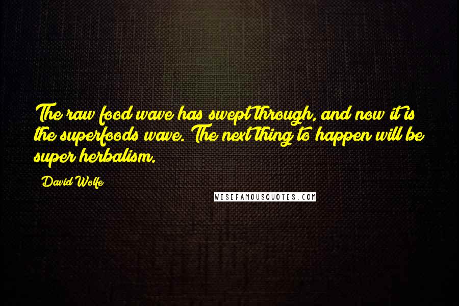 David Wolfe Quotes: The raw food wave has swept through, and now it is the superfoods wave. The next thing to happen will be super herbalism.