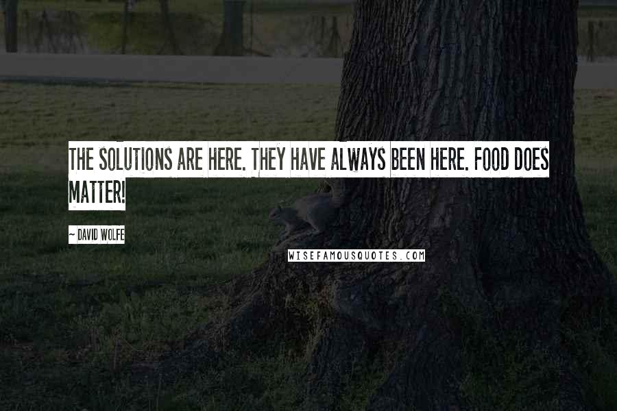 David Wolfe Quotes: The solutions are here. They have always been here. Food does matter!