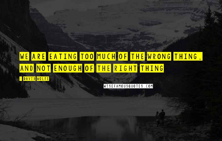 David Wolfe Quotes: We are eating too much of the wrong thing, and not enough of the right thing
