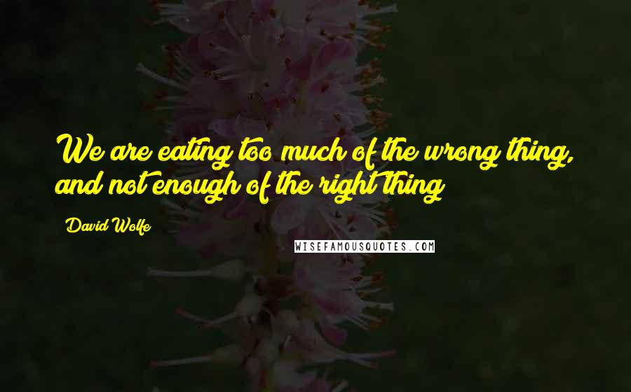 David Wolfe Quotes: We are eating too much of the wrong thing, and not enough of the right thing