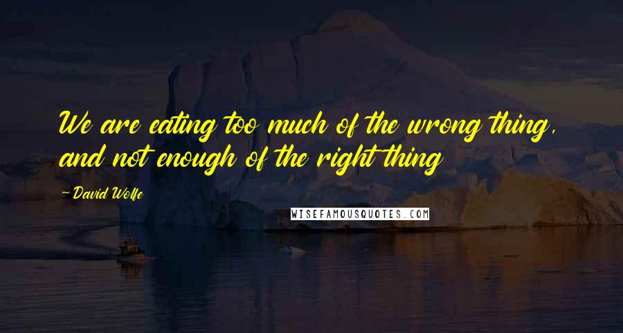 David Wolfe Quotes: We are eating too much of the wrong thing, and not enough of the right thing