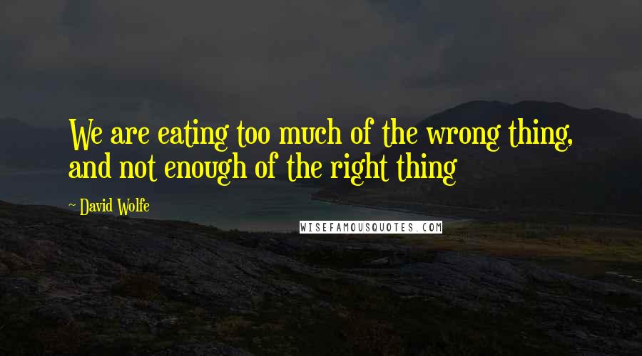 David Wolfe Quotes: We are eating too much of the wrong thing, and not enough of the right thing