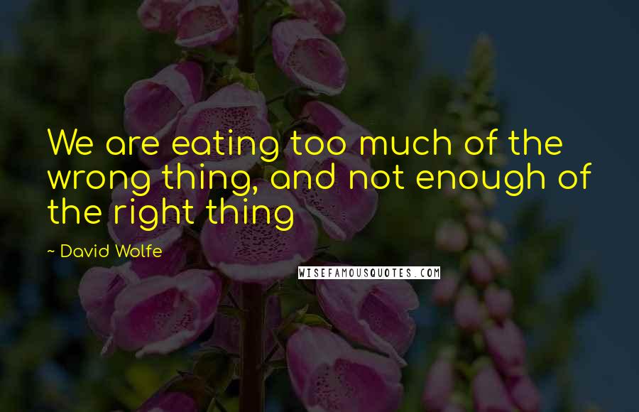 David Wolfe Quotes: We are eating too much of the wrong thing, and not enough of the right thing