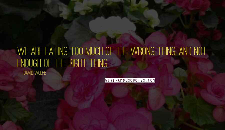 David Wolfe Quotes: We are eating too much of the wrong thing, and not enough of the right thing