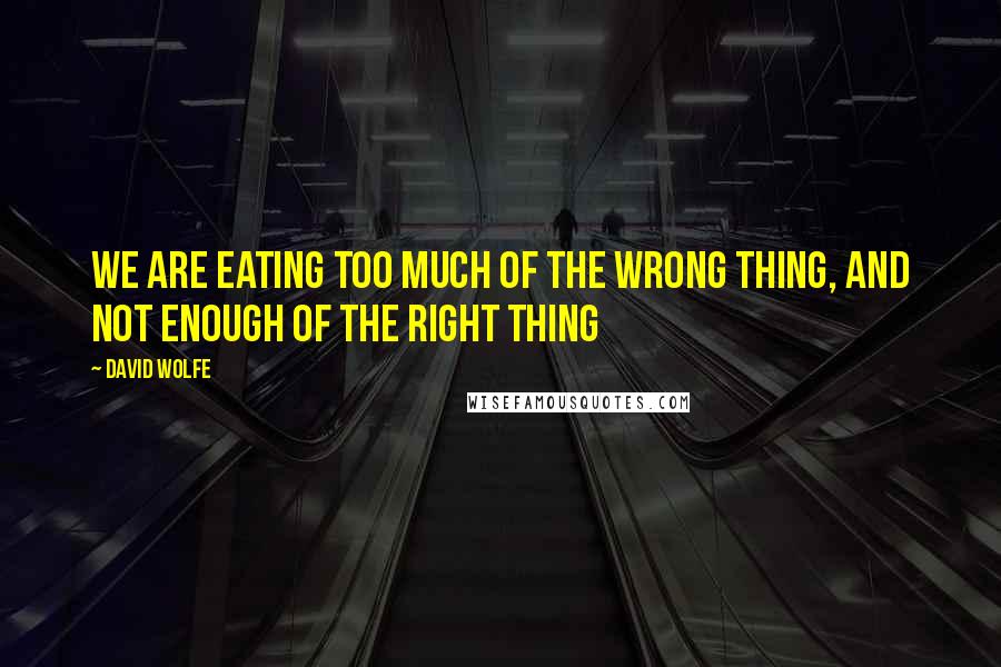 David Wolfe Quotes: We are eating too much of the wrong thing, and not enough of the right thing