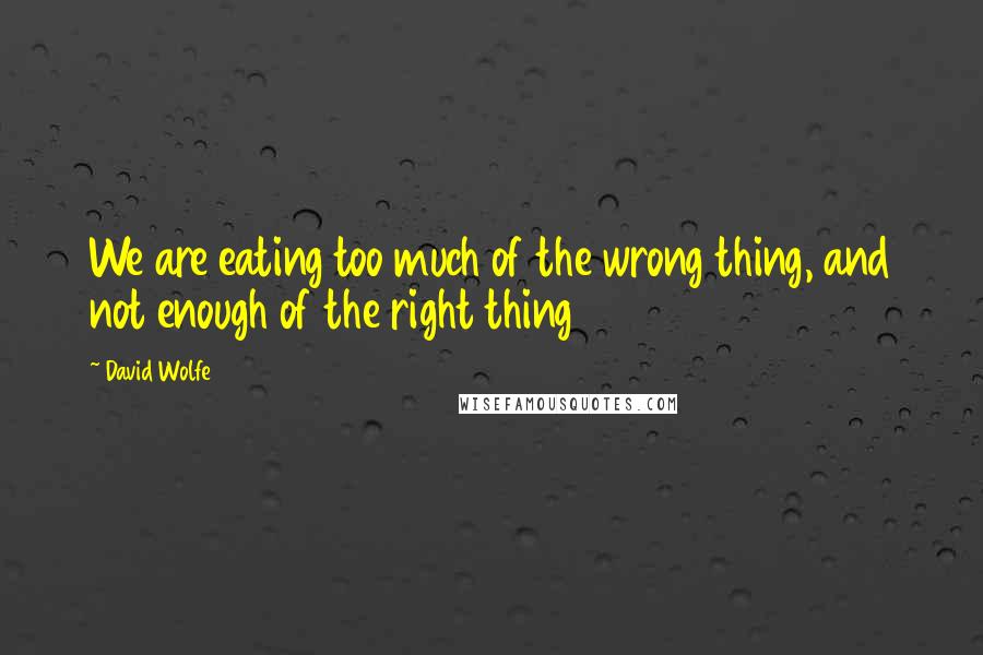 David Wolfe Quotes: We are eating too much of the wrong thing, and not enough of the right thing