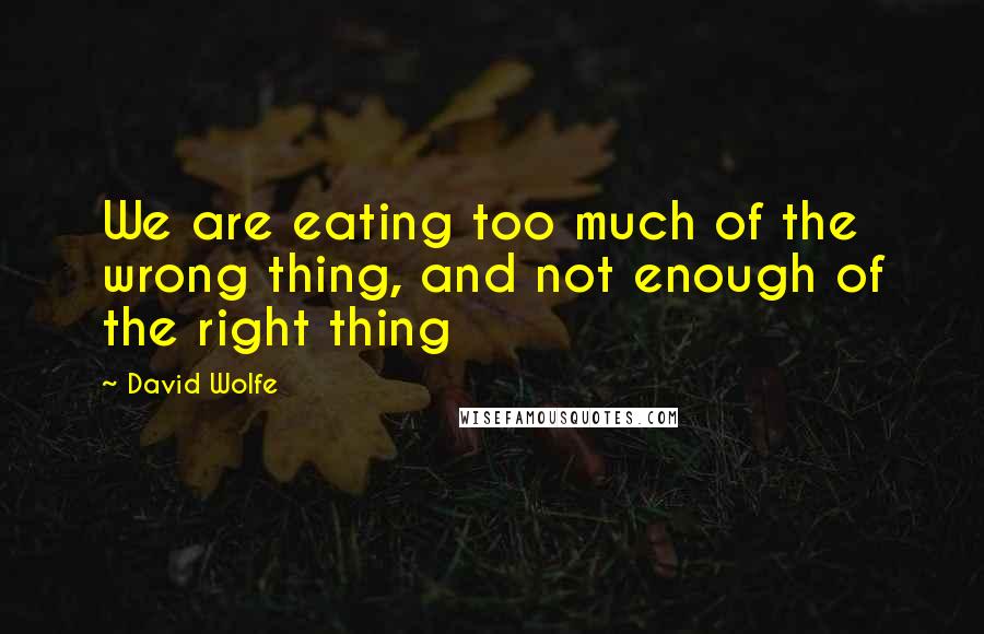 David Wolfe Quotes: We are eating too much of the wrong thing, and not enough of the right thing