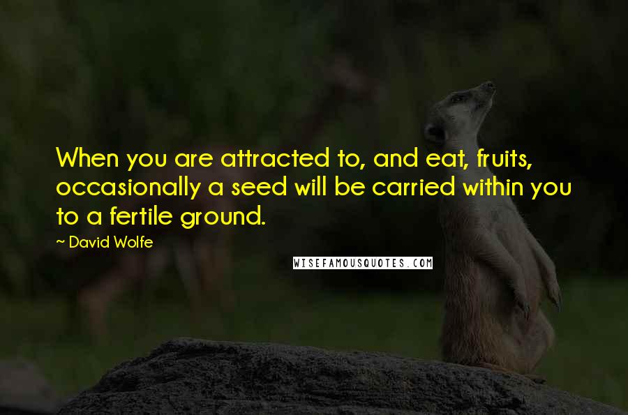 David Wolfe Quotes: When you are attracted to, and eat, fruits, occasionally a seed will be carried within you to a fertile ground.