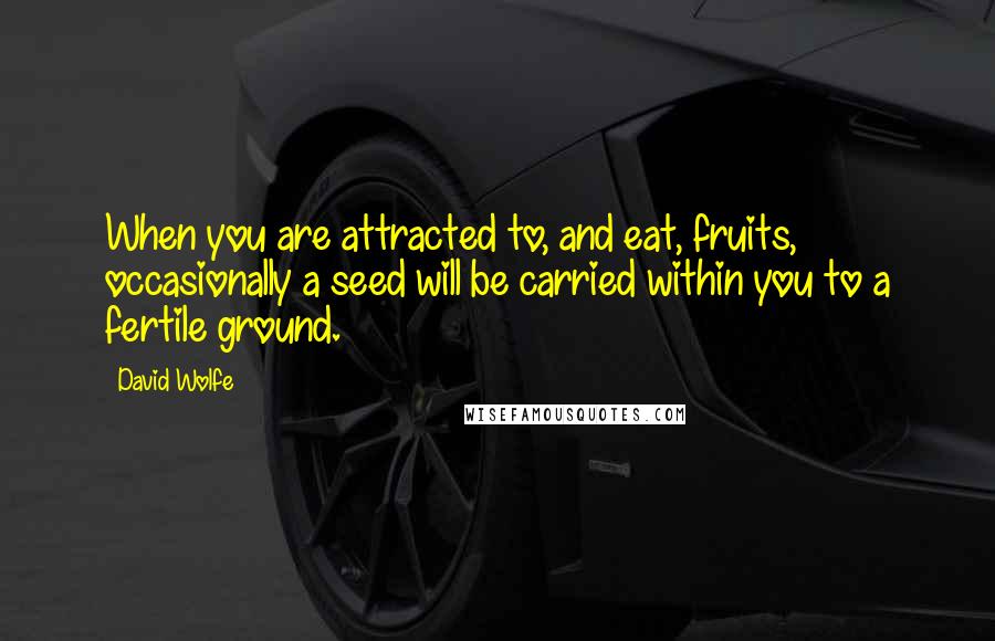 David Wolfe Quotes: When you are attracted to, and eat, fruits, occasionally a seed will be carried within you to a fertile ground.