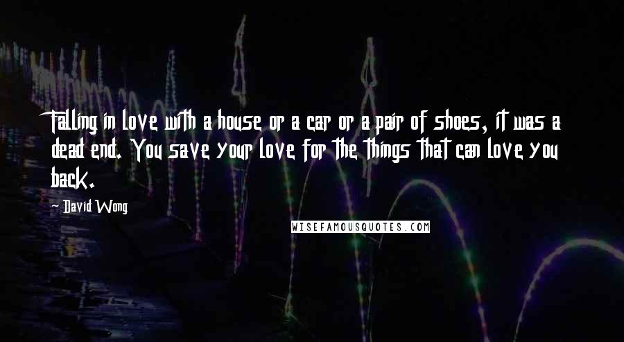 David Wong Quotes: Falling in love with a house or a car or a pair of shoes, it was a dead end. You save your love for the things that can love you back.