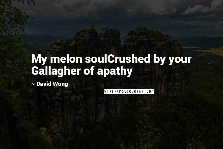 David Wong Quotes: My melon soulCrushed by your Gallagher of apathy
